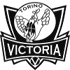 Victoria Torino(U20) 队徽